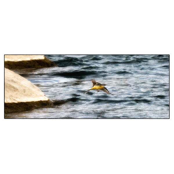 PHOTO84, CLUB, 84 , LUBERON